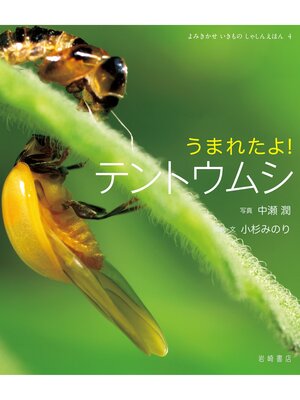 cover image of うまれたよ!テントウムシ
